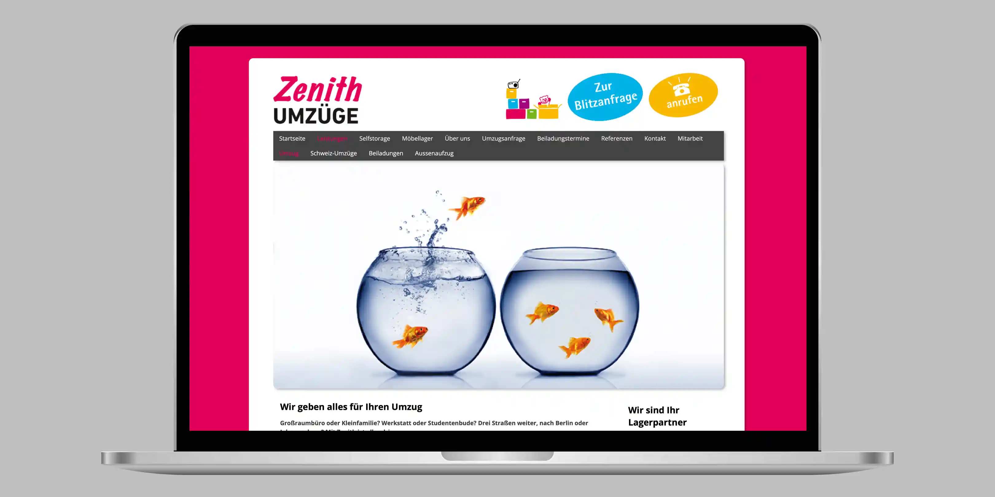 Website Zenith Umzüge